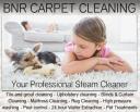 BnR Carpet Cleaning logo